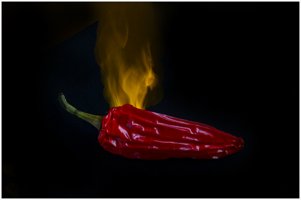 1 Red Hot Chilli Pepper - Sue Parry